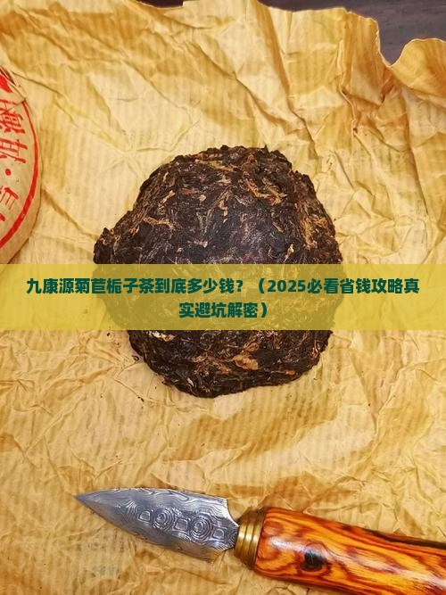 九康源菊苣栀子茶价格多少
