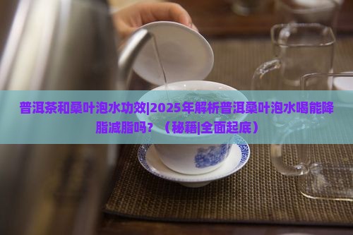 普洱茶和桑叶泡水功效