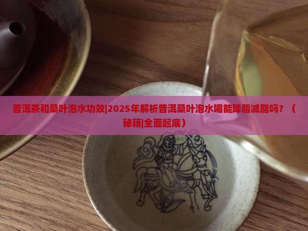 普洱茶和桑叶泡水功效