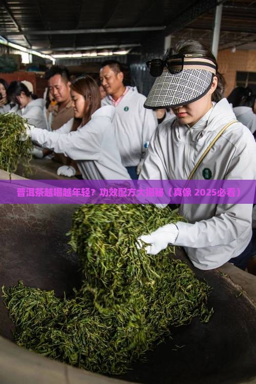 普洱茶的功效配方