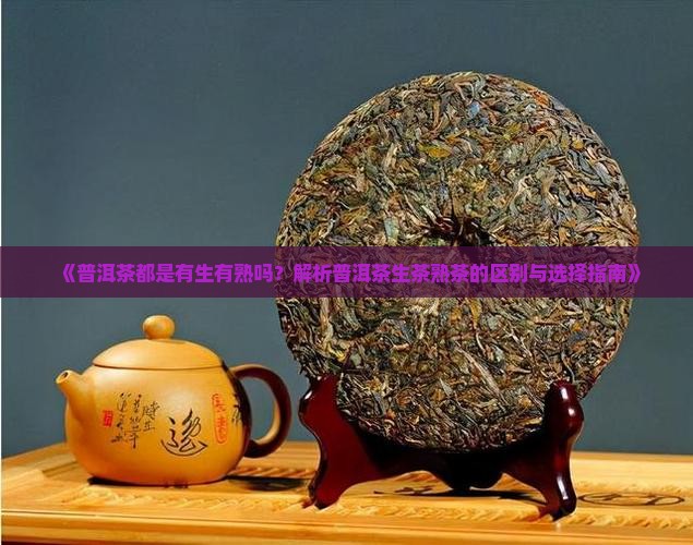 普洱茶都是有生有熟吗
