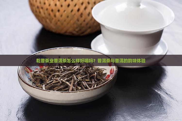 乾普茶业普洱茶怎么样好喝吗