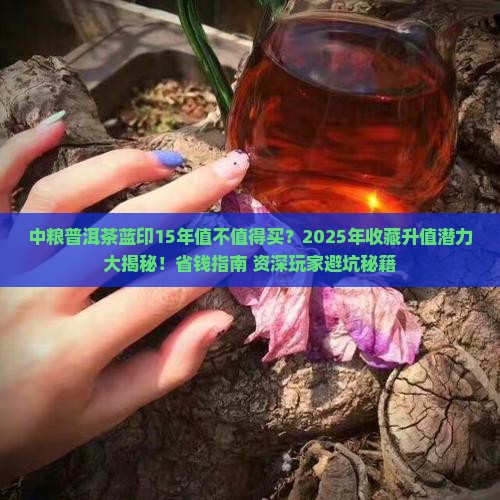 中粮普洱茶蓝印15年