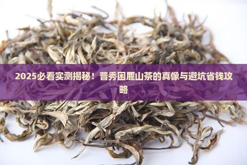 普秀茶怎么样普秀困鹿山