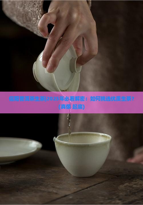 信阳普洱茶生茶