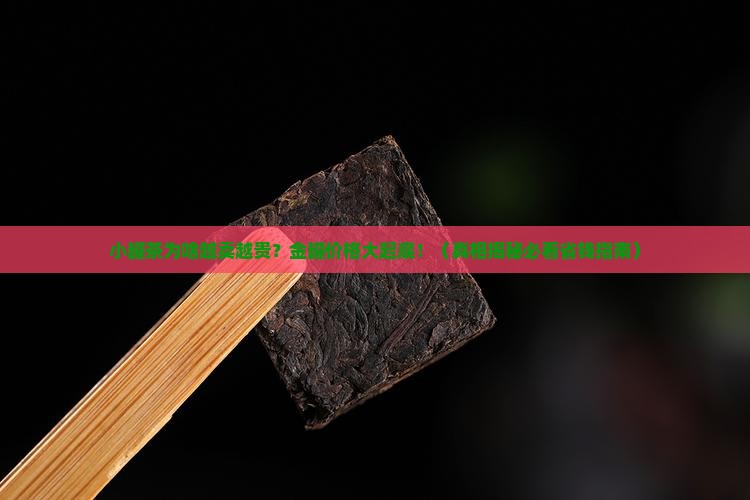 小罐茶高碰来价格金罐
