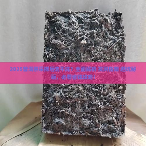 普洱茶采摘后洗不洗