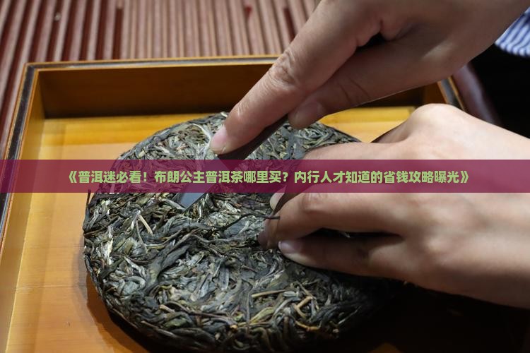 普洱哪里有布朗公主普洱茶