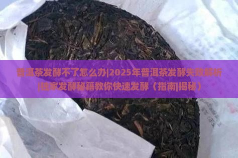普洱茶发酵不了怎么办