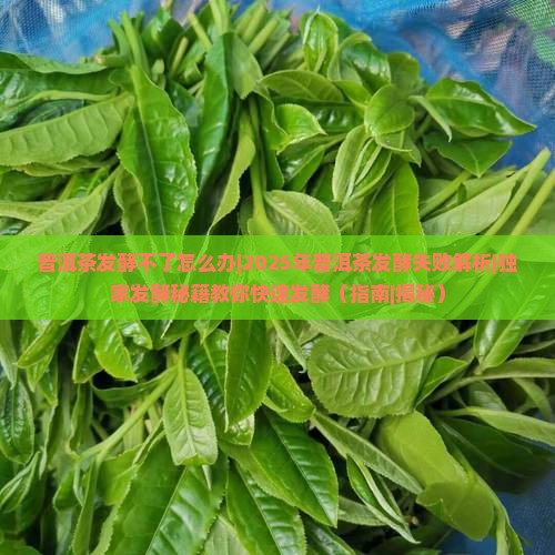 普洱茶发酵不了怎么办