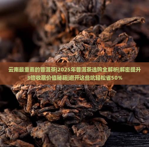 云南最重要的普洱茶