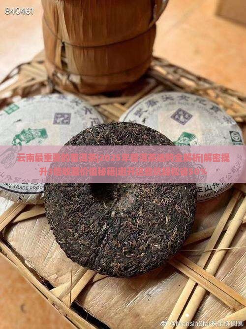 云南最重要的普洱茶