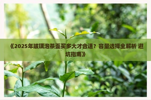 玻璃泡茶壶买多大合适
