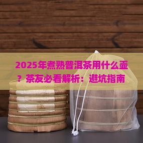 煮熟普洱茶用什么壶