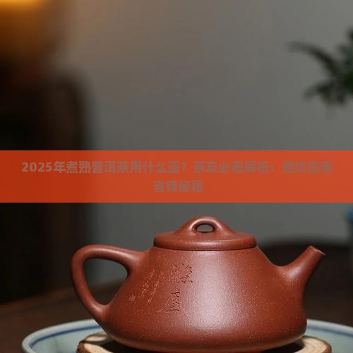 煮熟普洱茶用什么壶