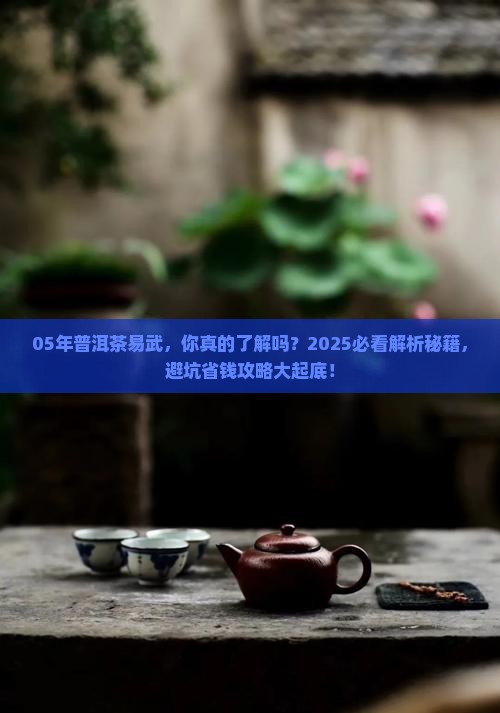 05年普洱茶易武