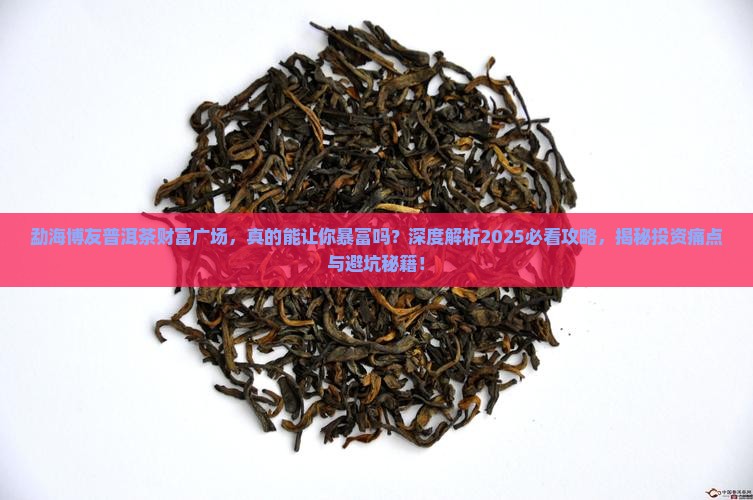 勐海博友普洱茶财富广场