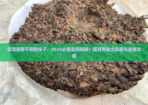 普洱茶晒干前的样子