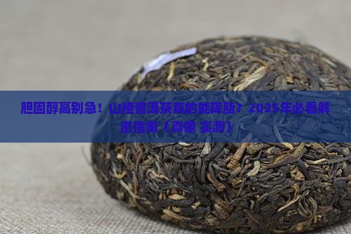 胆固醇高喝山楂普洱茶