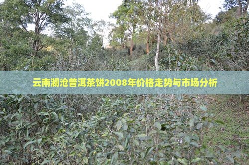 云南澜沧普洱茶饼2008