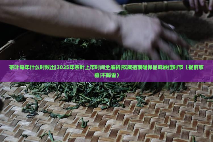 茶叶每年什么时候出
