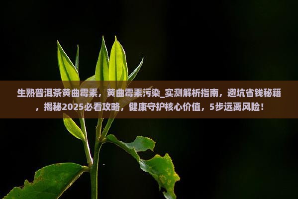 生熟普洱茶黄曲霉素