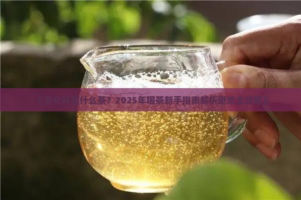 安化杯泡什么茶