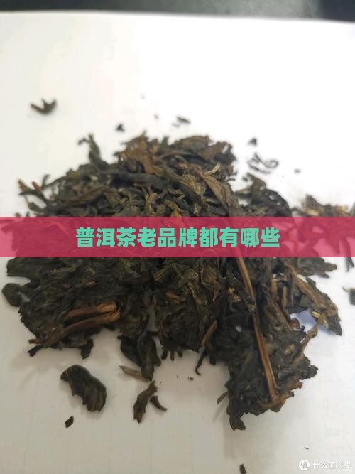 普洱茶老品牌都有哪些