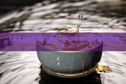 福建古树普洱茶