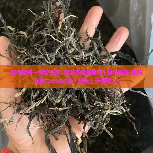 如何撬开一饼普洱茶