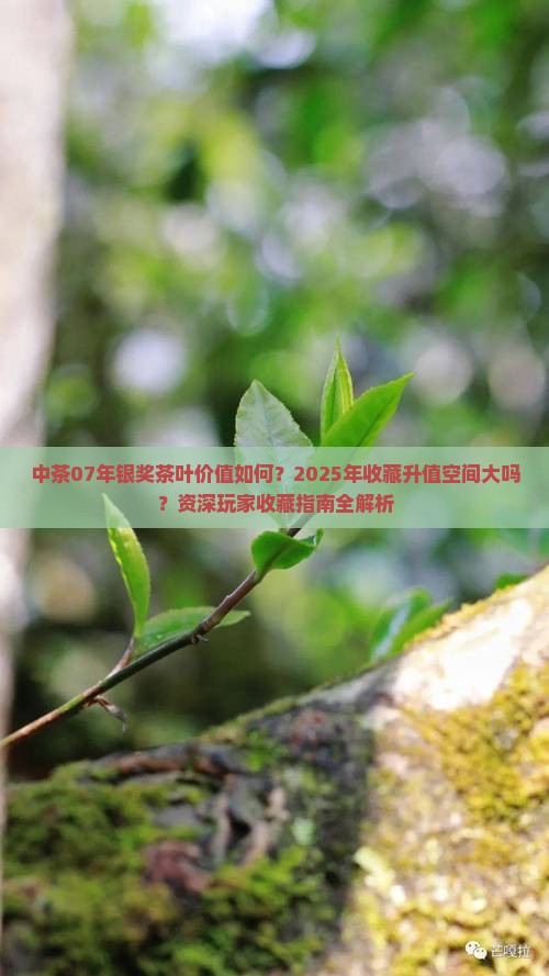 中茶07年银奖