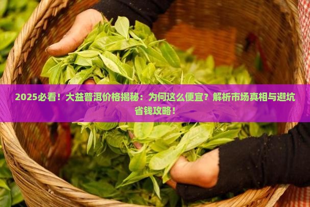 为什么大益普洱这么便宜