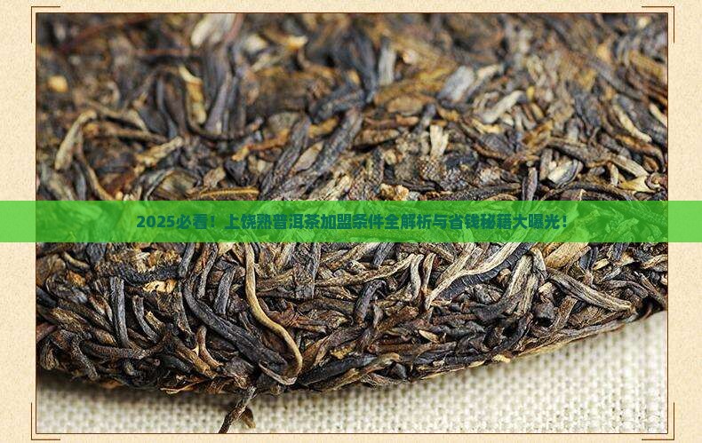 上饶熟普洱茶加盟条件电话
