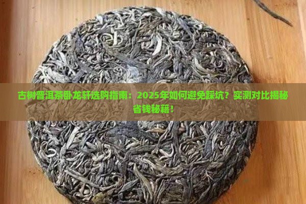 古树普洱茶卧龙轩