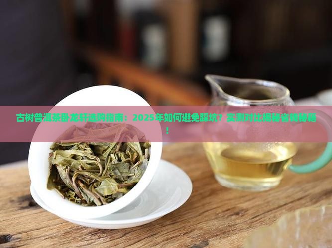 古树普洱茶卧龙轩
