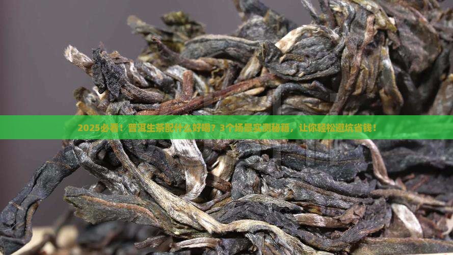 普洱生茶配什么好喝