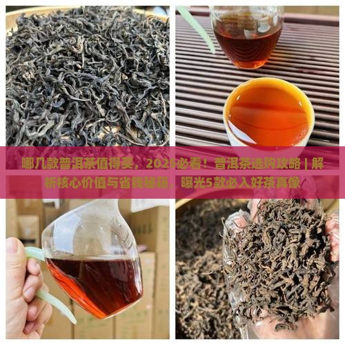 哪几款普洱茶值得买