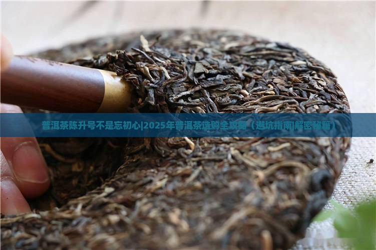 普洱茶陈升号不是忘初心