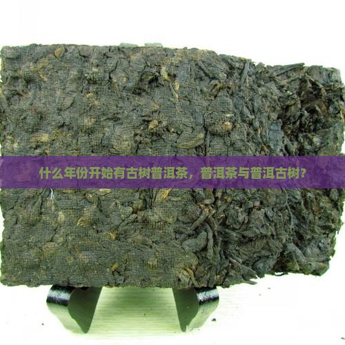 哪一年开始有古树普洱茶