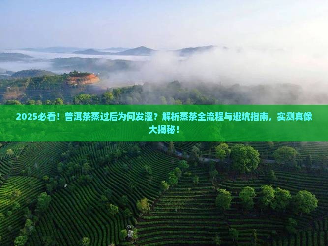 普洱茶蒸过会发涩吗为什么