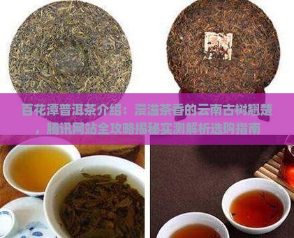 百花潭普洱茶的介绍