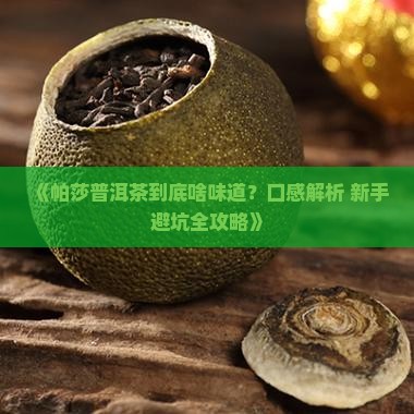 帕莎普洱茶的口感特点是什么