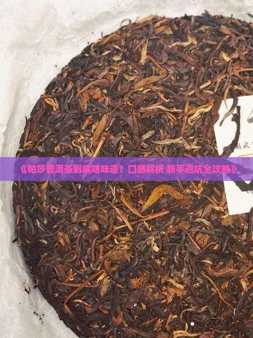 帕莎普洱茶的口感特点是什么