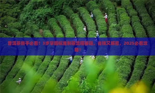 普洱茶标准制茶流程表