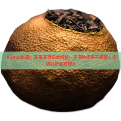 不同种类的茶莓茶是不是茶