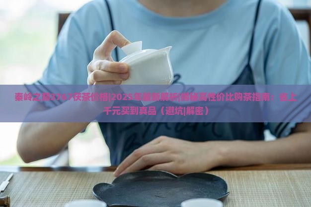 秦岭之巅3767茯茶价格 秦岭之巅3767茯茶价格