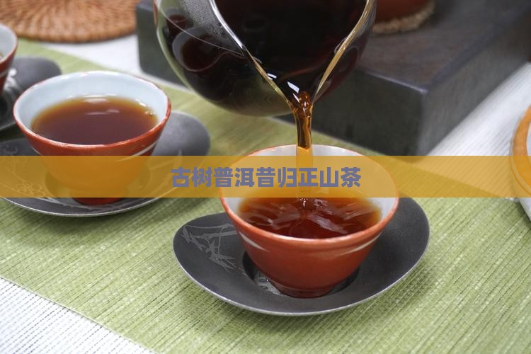 深山正山昔归古树茶 深山正山昔归古树茶