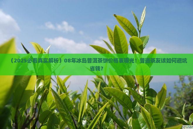 08年冰岛普洱茶饼价格表
