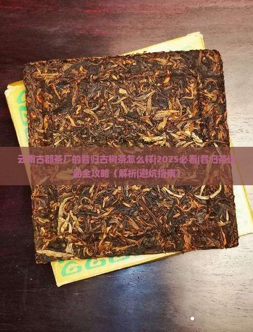 云南古郡茶厂的昔归古树茶怎么样