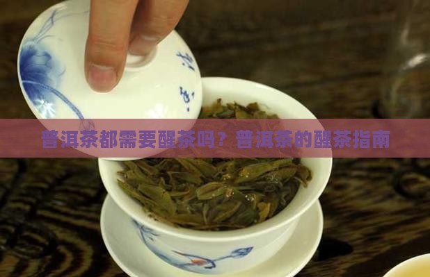 普洱茶都要醒吗